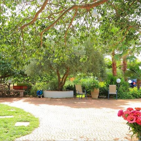 Villa Zahara 里贝拉 外观 照片
