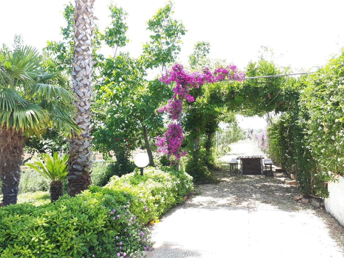 Villa Zahara 里贝拉 外观 照片