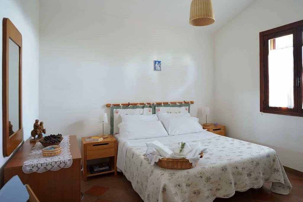 Villa Zahara 里贝拉 外观 照片