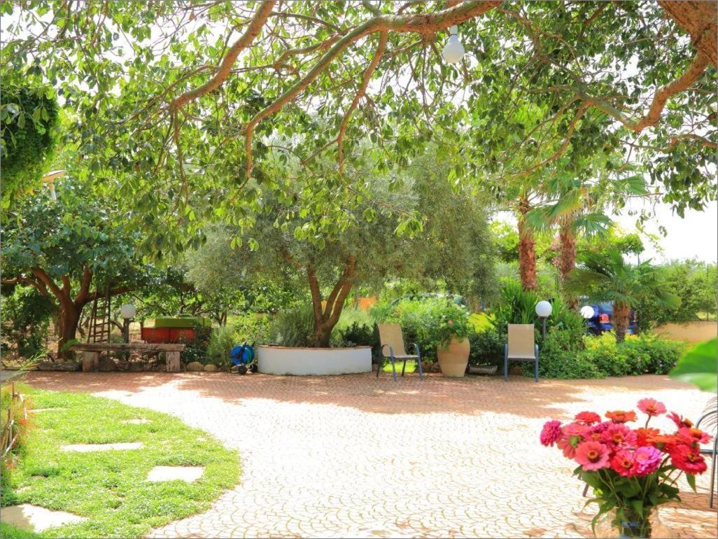 Villa Zahara 里贝拉 外观 照片